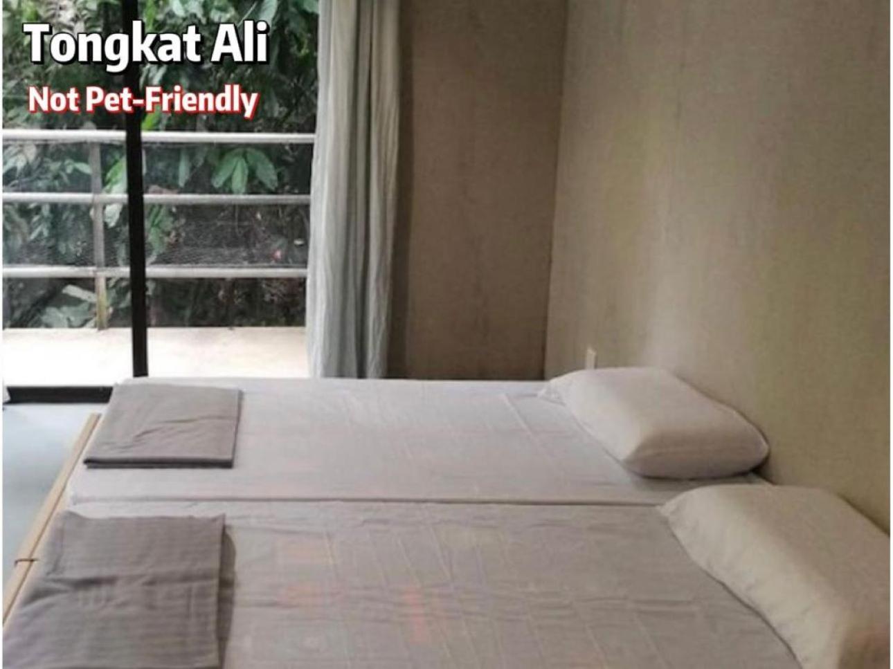 Gibbon Retreat Bentong Hotel Exterior photo